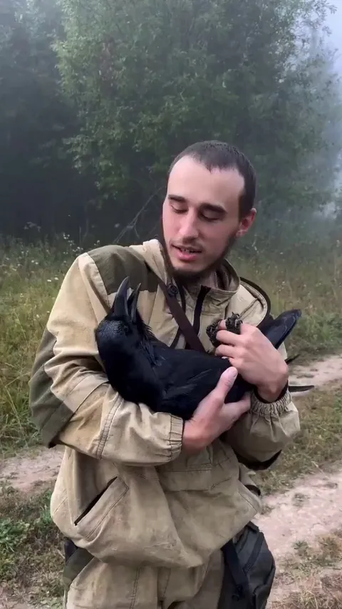 Look at the size of this raven.