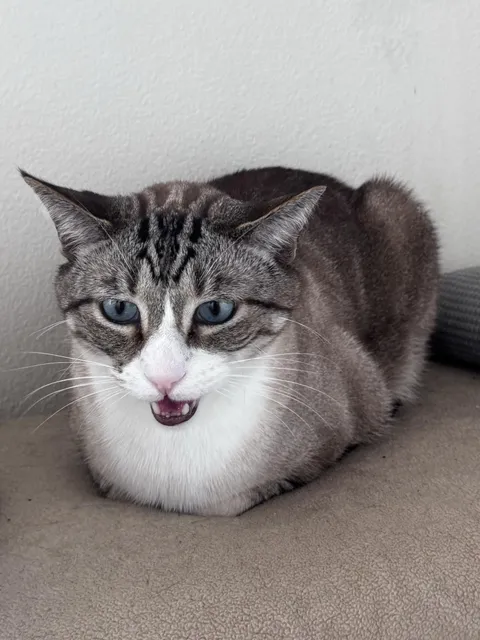 Heading to urgent care. Good vibes for my loaf of bread, please. 