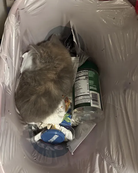 Could t find her🤯😓