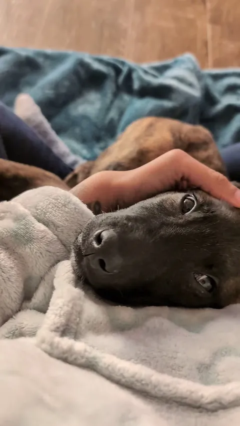 The way he used to look at me when he was a babyyy 🥹