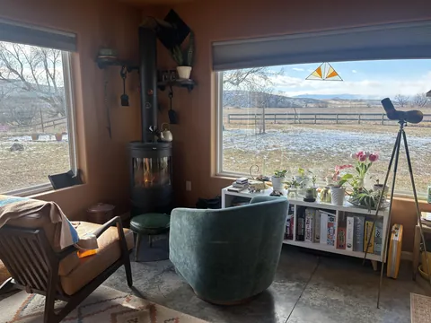 Midday in winter feels like the friendliest sun