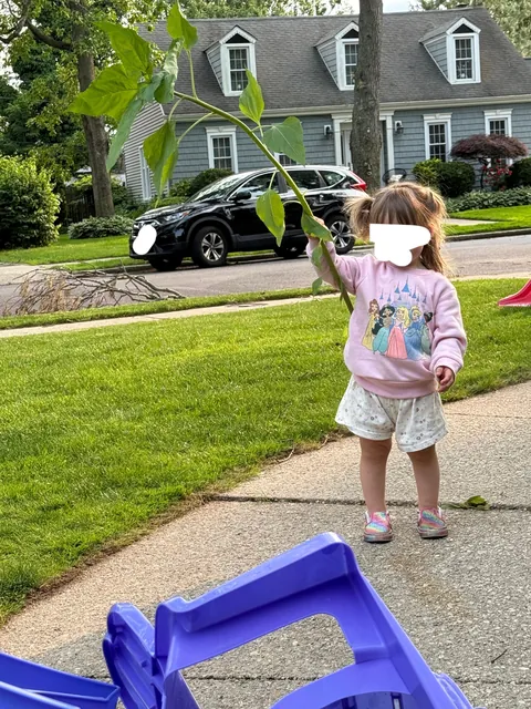 I spent the last 2 months growing sunflowers and my 1 year old just came over and said “A sword!” 😭😭😭