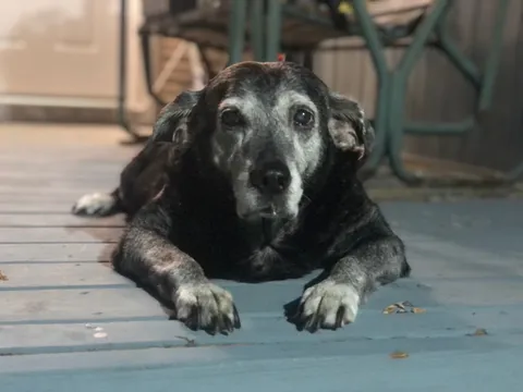 You may be wondering why I called you here today.... (Why do you think she called the meeting?)