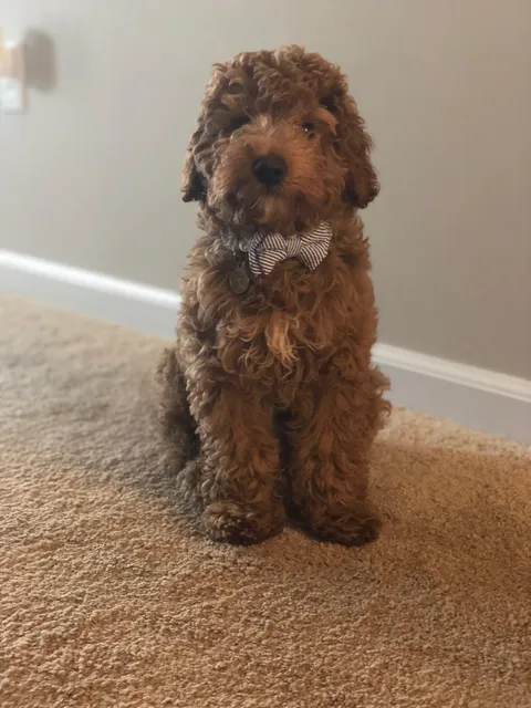 Winston wanted to look good for Reddit