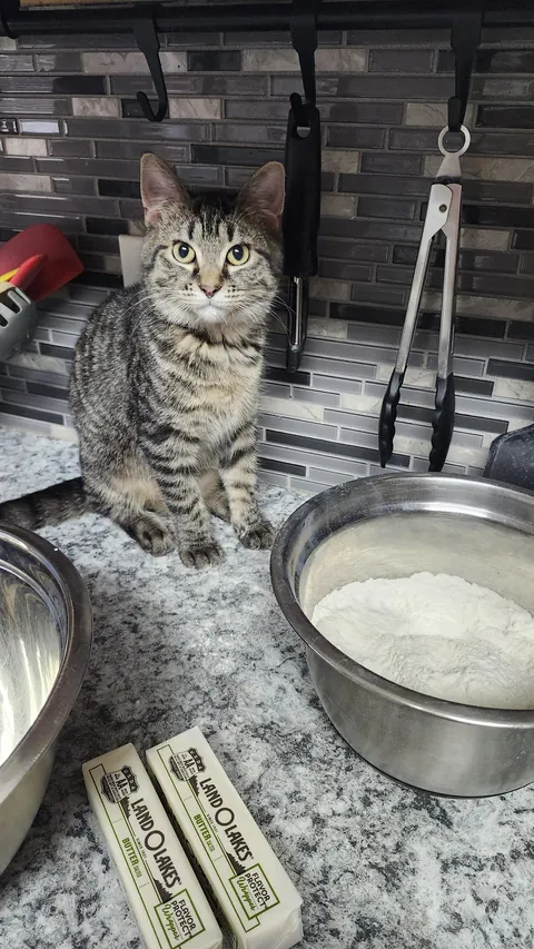 She claims to have not touched the flour