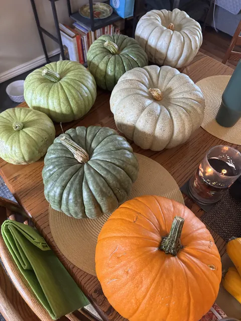 Pumpkins!