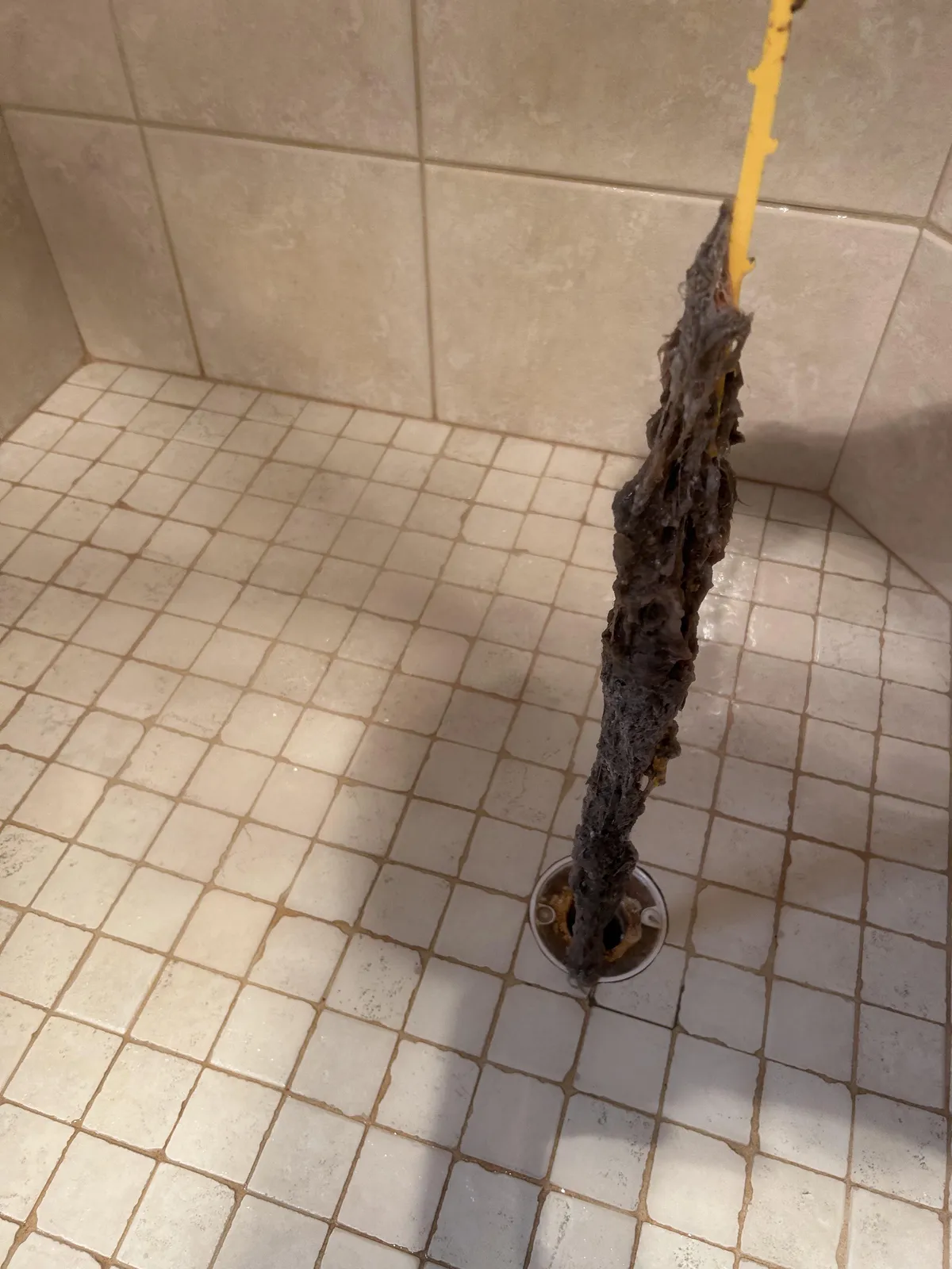 We just moved in and the shower started draining slowly. This $2 tool worked like a charm. Just gross that 99% of that isn’t our filth.