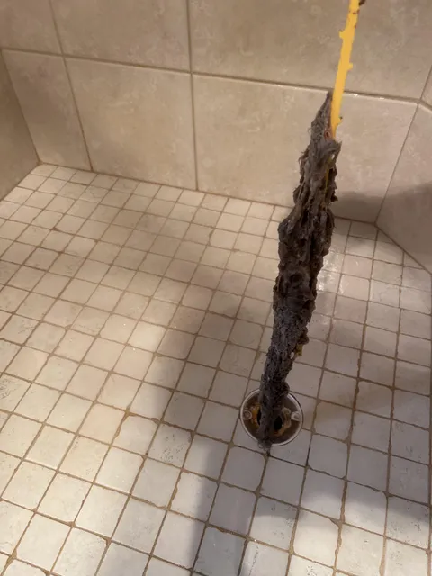 We just moved in and the shower started draining slowly. This $2 tool worked like a charm. Just gross that 99% of that isn’t our filth.