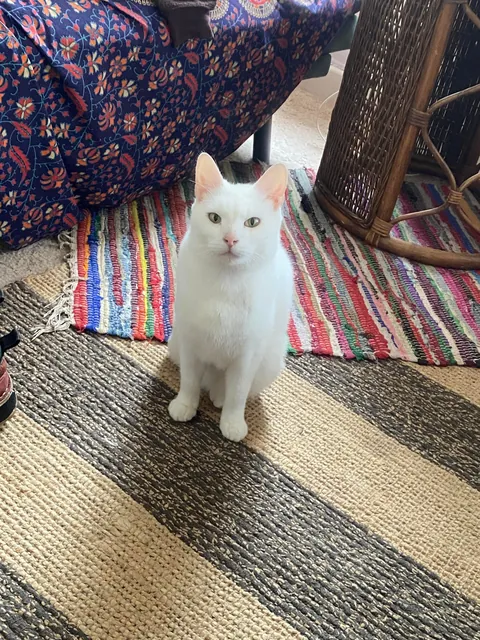 I hope my girl can brighten up someone’s day 🌞