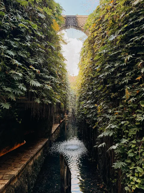 6 days in the Yucatán Peninsula: Cancún, Chichén Itzá, Isla Mujeres and Mérida