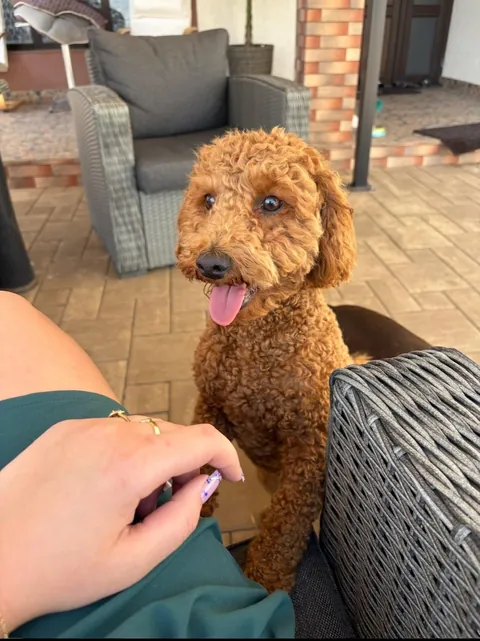 My smol loaf 1y ago &amp; now 🐻