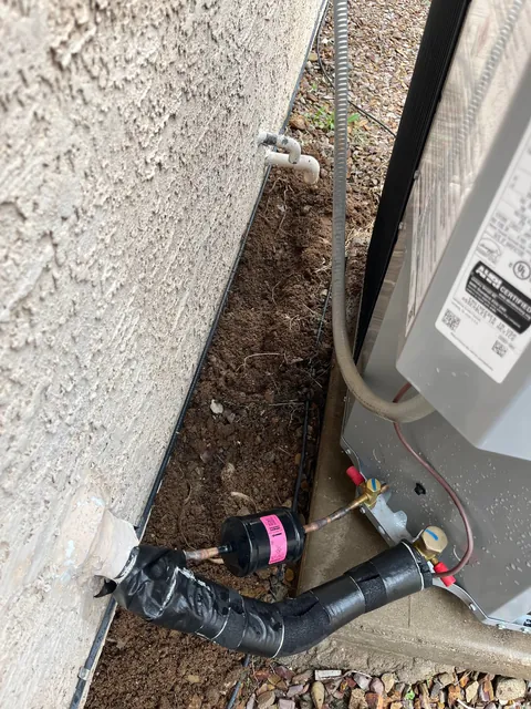 Arizona saguaro removal