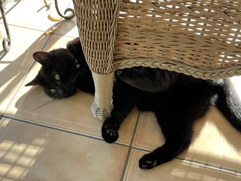 He’s my little boy and he’s made me whole for 4 years.