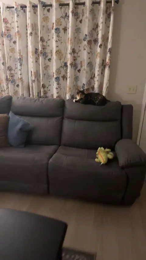 Went to my gfs to take care of her cats