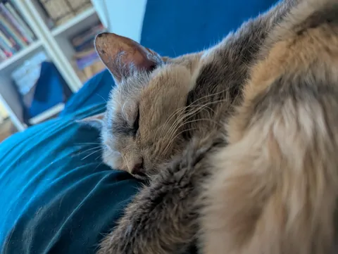 In honor of Molly Dec 24, 2025