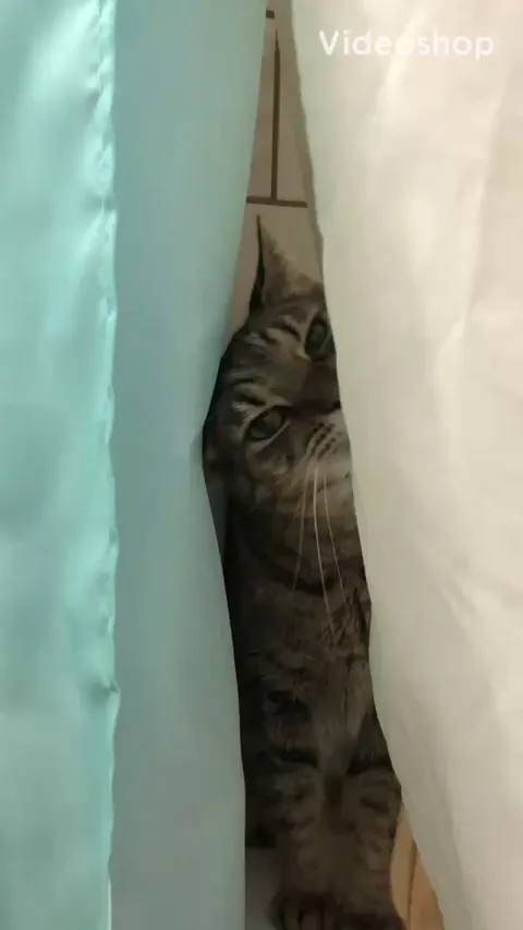 If he was in kindergarten, he'd be eating paste