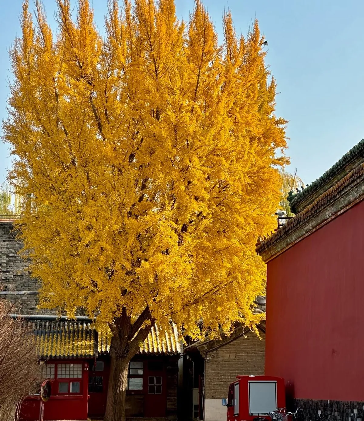 Autumn in Beijing