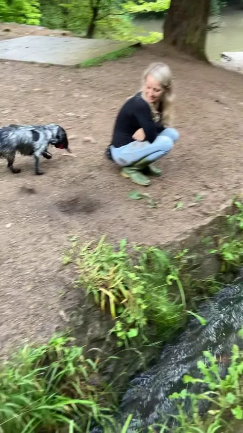 Clever dog has invented a new game