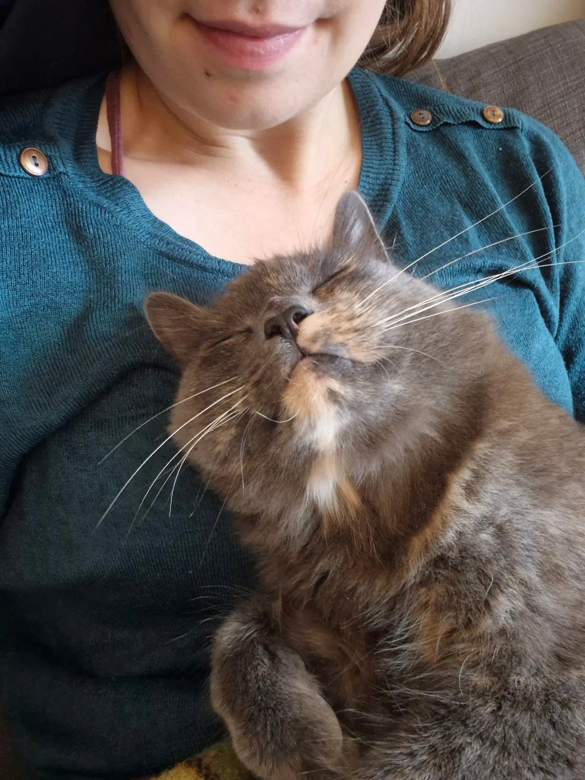 My cat is one of my favourite people