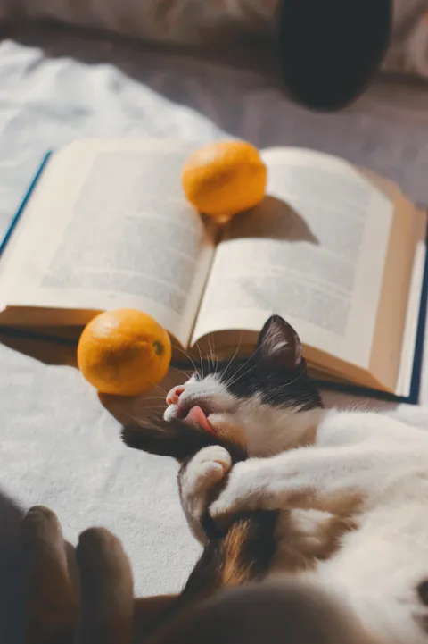 untitled, me, photography, 2020