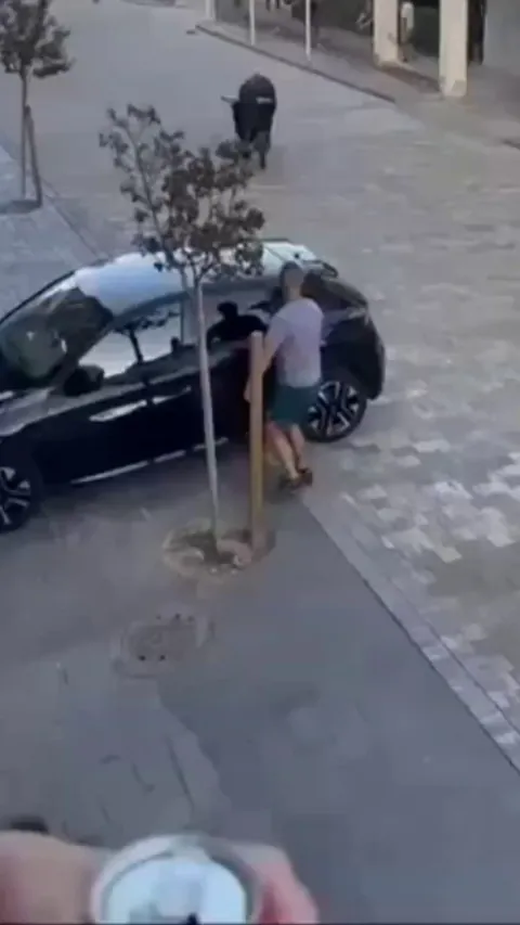 Bull gets angry at a parked car