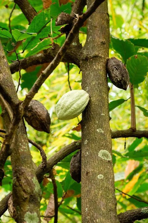 10 days in Saint Vincent and the Grenadines