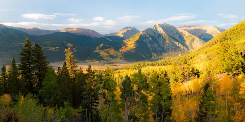 The aspens are spectacular near Twin Lakes, CO, USA [OC][5355x2678]