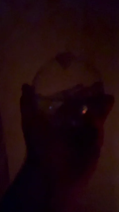 A VERY healthy bioluminescent algae culture.