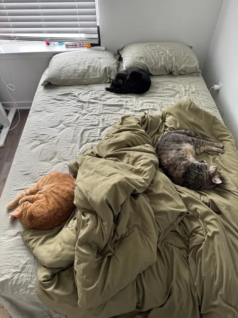 Do they do this on purpose?