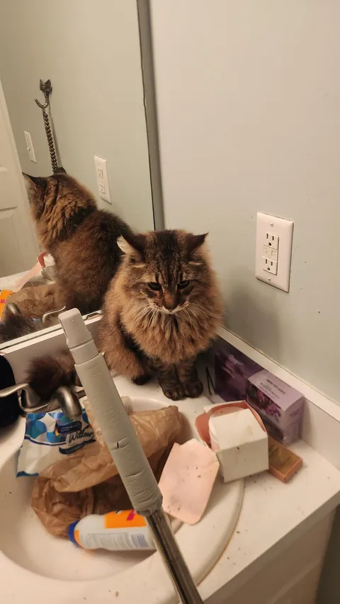 A year and a half, but my little boy is home.