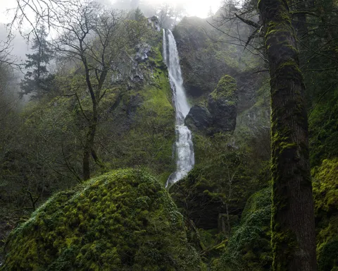 Pacific Northwest waterfall (OC) (2048x1638)