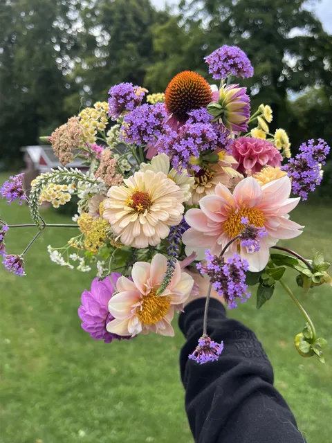 My favorite flowers I’ve grown this year 🌸