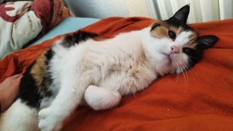 19 years and still looking fresh