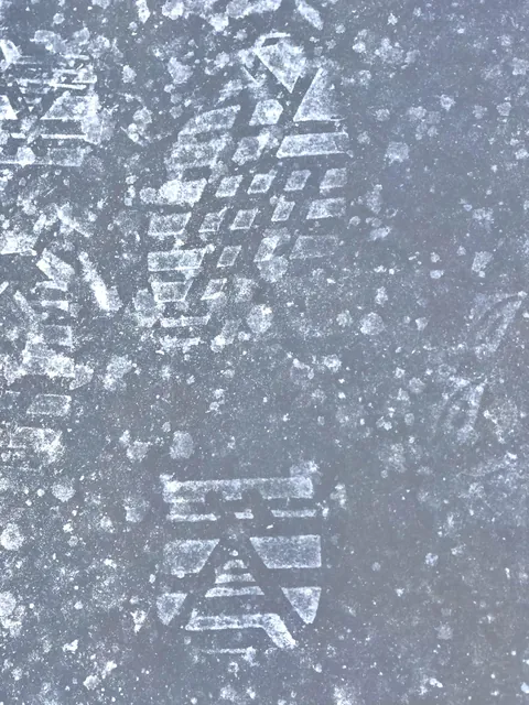 Please help me find the shoe this print belongs to!
