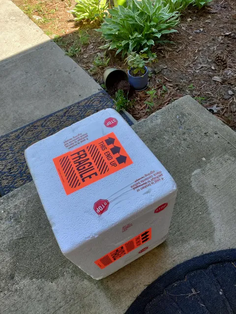 This is my son's insanely expensive gene therapy medication for his rare and permanently life altering genetic disorder. And they also knocked my plant out of its pot. Just for an extra "f you"