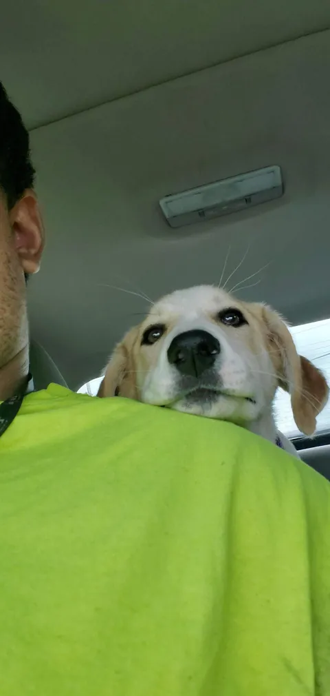 Isn't she so cute? 🥹