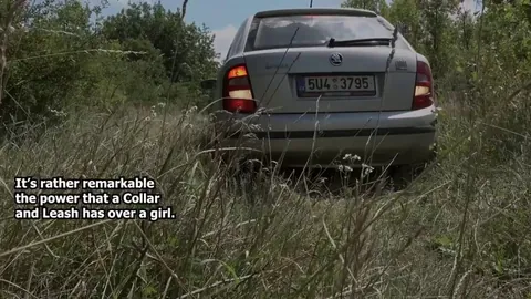 The Collar and Leash