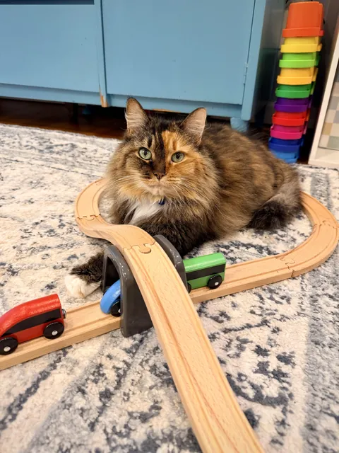 None shall pass!
