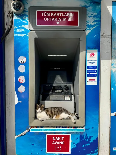 ATM assistant