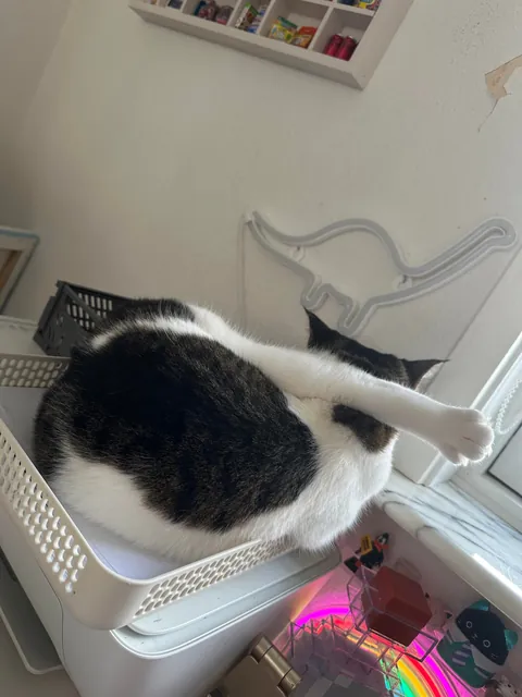 There is no way this is comfy