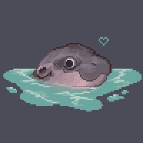 I think Moo Deng is neat