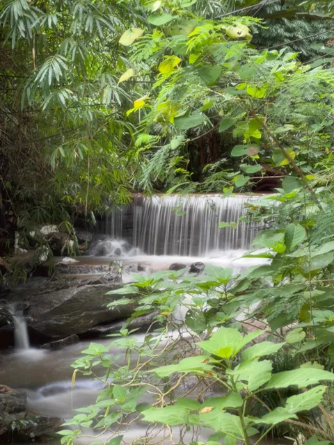 5 Days in Chiang Mai reflection. Slower Pace + Crisp Air + omg Khao Soi (curry noodle soup)