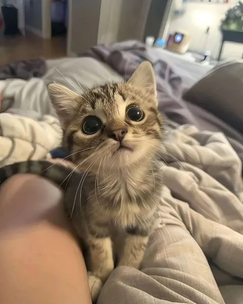 Give him a nickname please