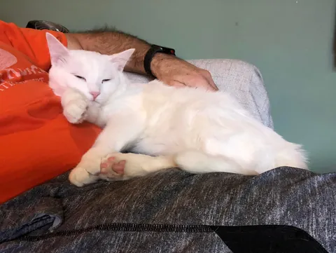 Nine Years &amp; Counting