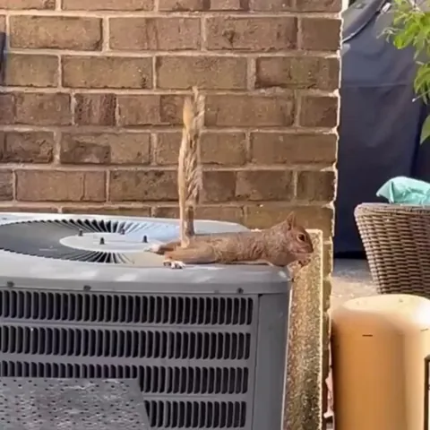 Some like it cool...