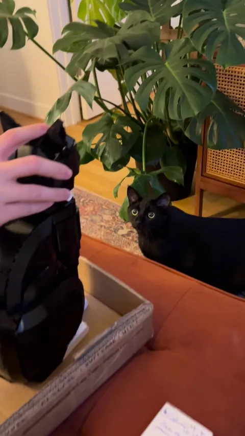 His first uncanny valley experience