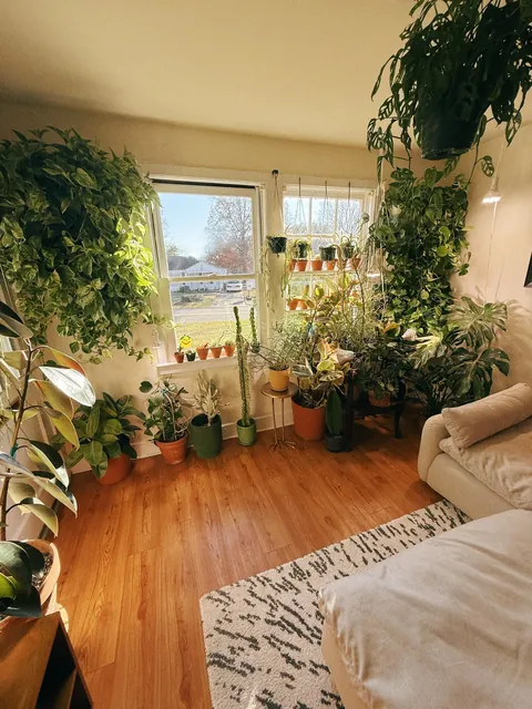 My cozy plant-filled apartment in Alabama (I’ve been told!)