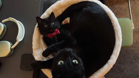 What would you name her?