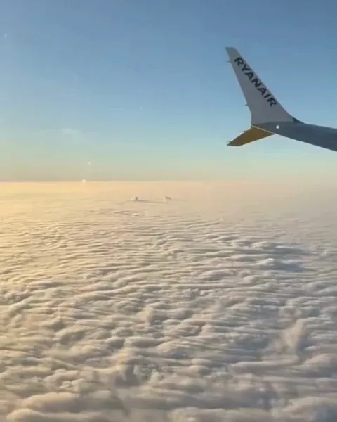 This incredible video shows a cloud shaped like a dog seen from a window seat