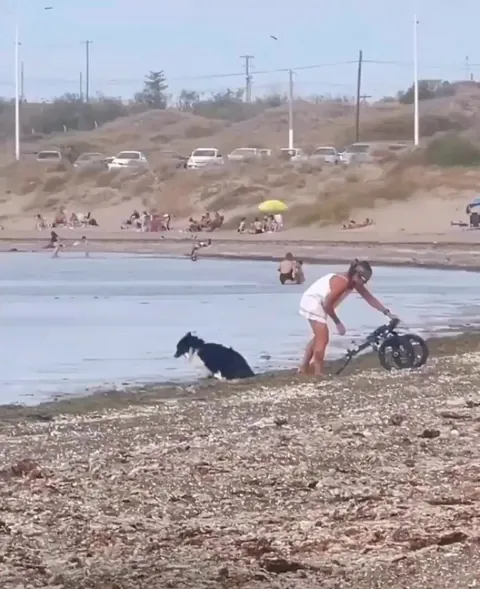 Helping a disabled 'good boy' have a great time at the beach.